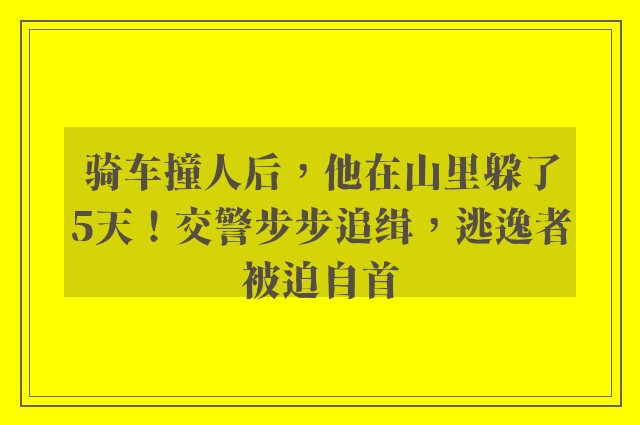 骑车撞人后，他在山里躲了5天！交警步步追缉，逃逸者被迫自首